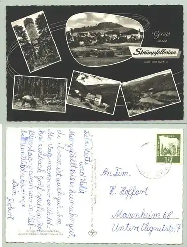(1019785) Ansichtskarte "Gruss aus Struempfelbrunn im badischen Odenwald"