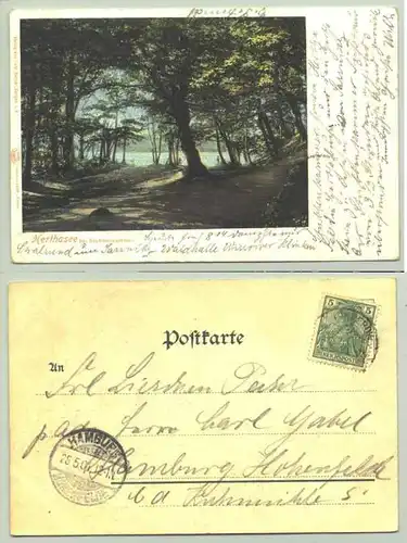 Herthasee 1901 (intern : )