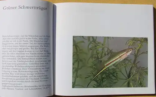Sammelbilderalbum (2-034) Freude an Fischen. Stuttgart 1967