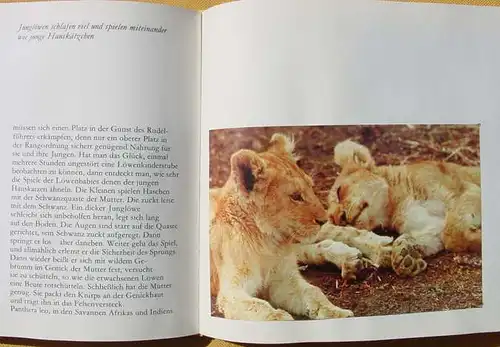 Sammelbilderalbum (2-035) Wehrhaftes Wild in Afrika. Stuttgart 1968