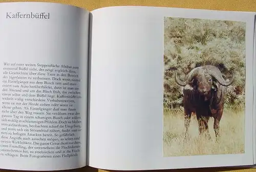 Sammelbilderalbum (2-036) Wehrhaftes Wild in Afrika. Stuttgart 1968