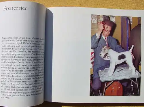 Sammelbilderalbum (2-040) Unsere liebsten Tiere. Stuttgart 1971