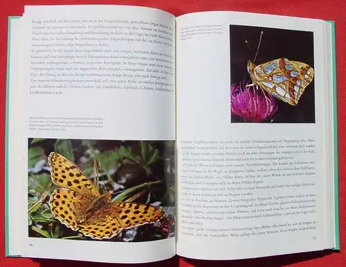 Lina Sammelbilderalbum. Schmetterlinge (2-124)