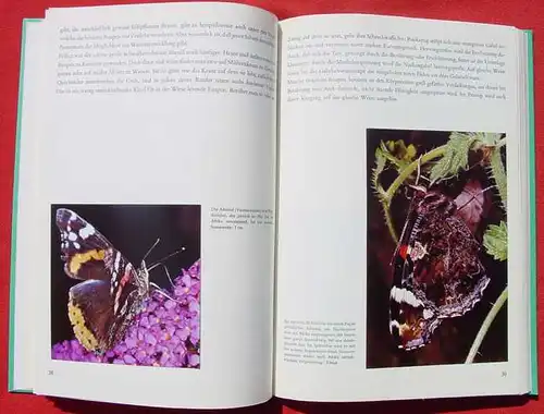 Lina Sammelbilderalbum. Schmetterlinge (2-124)