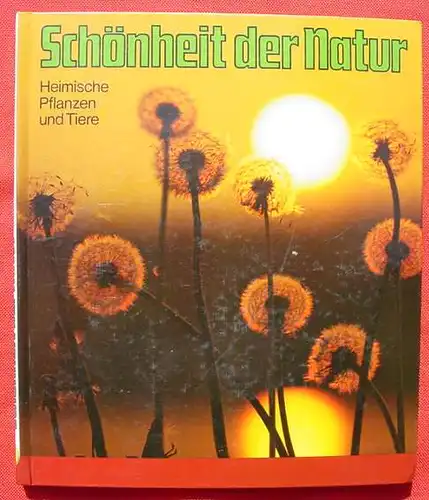 Penny-Album. Schoenheit der Natur, 1974 (2-168) Sammelbilderalbum