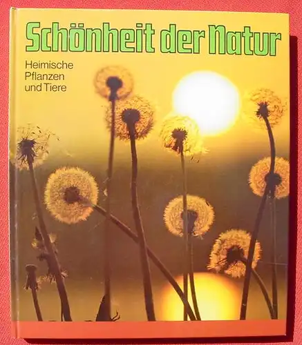 Penny-Album. Schoenheit der Natur, 1974 (2-256) Sammelbilderalbum