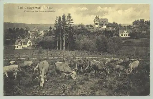 Georgenthal um 1910 ? (intern : )