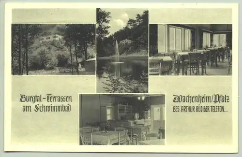 Wachenheim 1950 ? (intern : )