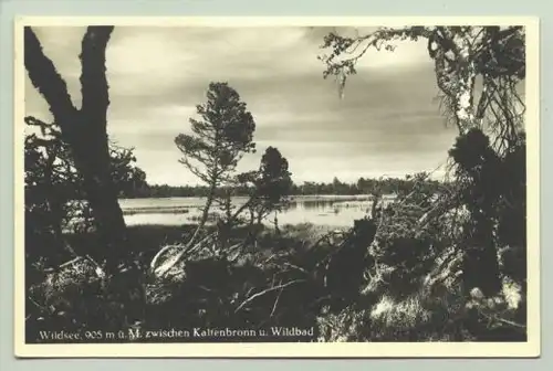 Wildsee um 1935 (intern : )