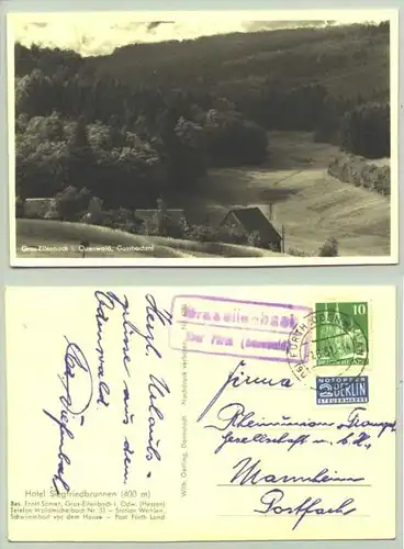 Grasellenb. 1951 (intern : 1018879)