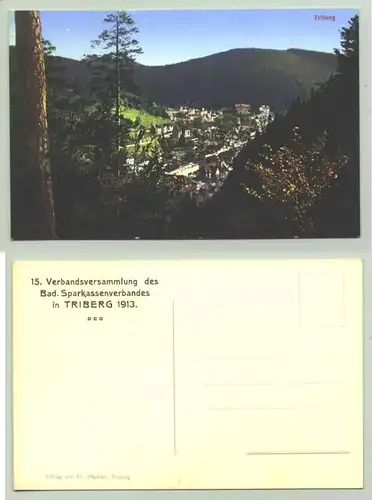 Triberg 1913 (intern : 0082119)