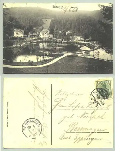 Triberg 1908 (intern : 0082118)