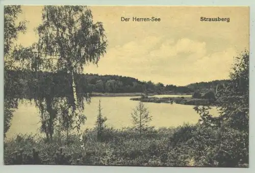 Strausberg um 1920 (intern : 1019036)