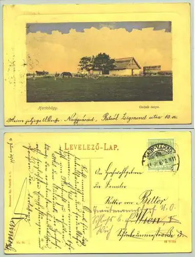 Hortobagy, Ungarn, 1911 (1026673)