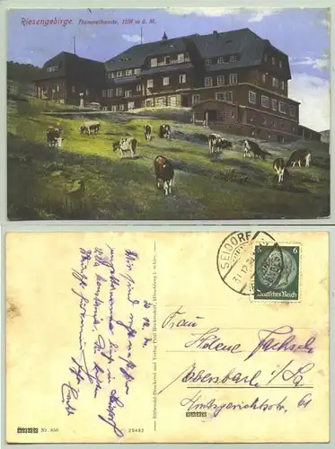 Seidorf, Polen, 1934 (1026751)