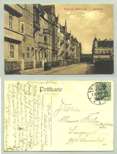 Heidelberg 1910 (intern : 221)