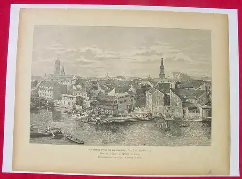 Berlin. Altstadt. Kunstdruck um 1884 (1031094)