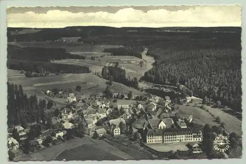 Friedenweiler 1959 (intern : )