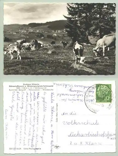 Schoenwald 1957 (intern : 1021620)