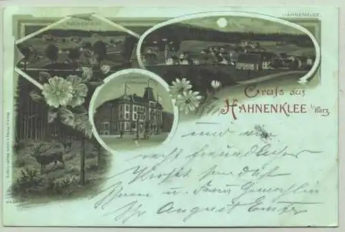 Hahnenklee 1900 (intern : 38644011)