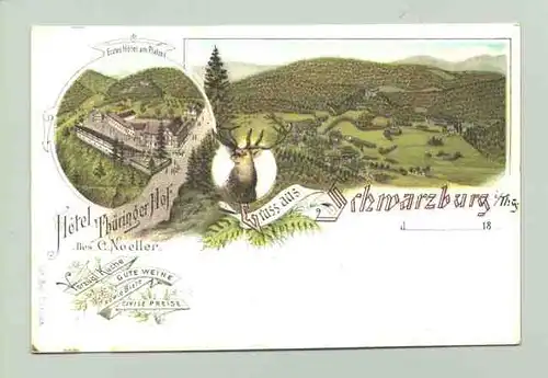 Schwarzburg um 1895 (intern : 07427011)