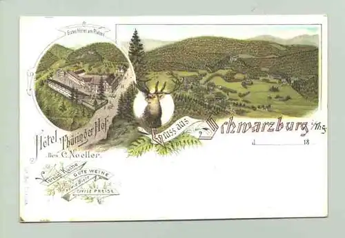 Schwarzburg um 1895 (intern : )