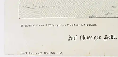 Kunstblatt "Skifahrerin" von 1902 (1031090)
