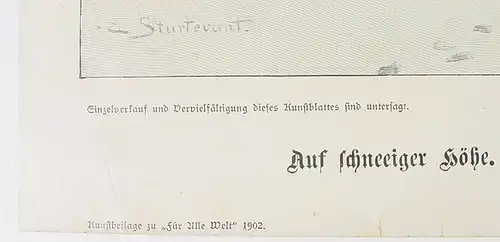 Kunstblatt "Skifahrerin" von 1902 ()