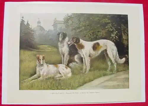 Kunstblatt. "Kaiser"s Windhunde", um 1900 (1031101