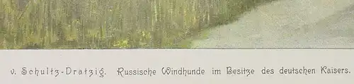 Kunstblatt. "Kaiser"s Windhunde", um 1900 (1031101