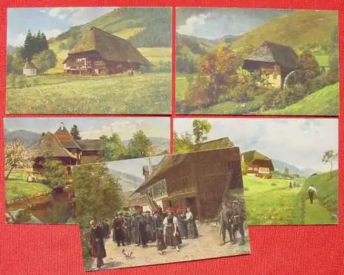 Neu : Versandkosten ab Euro 2,00 / BRD (intern )  13 x alte Ansichtskarten / Künstlerkarten. Sehr schöne Motive von H. Hoffmann. Schwarzwald. Zum Teil beschrieben, 1910-1930-er Jahre. 