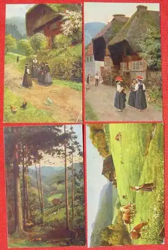 Neu : Versandkosten ab Euro 2,00 / BRD (intern )  13 x Ansichtskarten / Künstlerkarten von H. Hoffmann. Schwarzwald. Zum Teil beschrieben, 1910-1930-er Jahre. Mehr oder weniger gebrauchte Karten. 