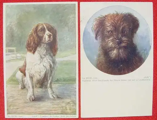 2 x AK Kunst / Hunde-Motive, 1930er J. ? (1033099)