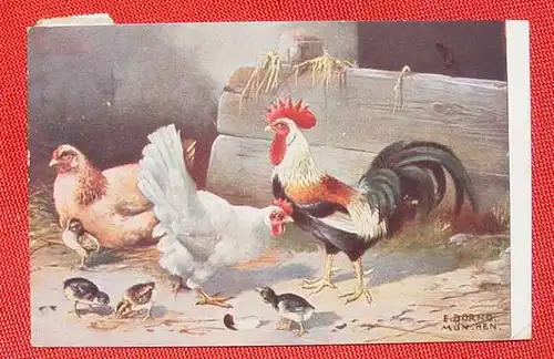 (1033125) Künstler-Postkarte. E. Dorno, München. Hühner-Idylle. Postalisch gelaufen 1913. 