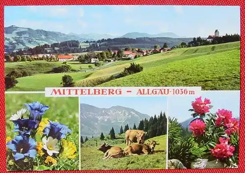 87466 AK Mittelberg 1974 (1032151)