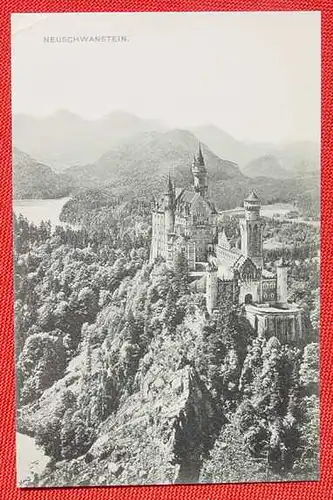 87645 AK Neuschwanstein 1909 ()