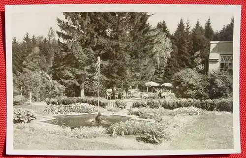 31693 AK 3 x Elfenborn 1954 () Wald-Restaurant und Cafe Elfenborn, Post Stemmen ueber Rinteln