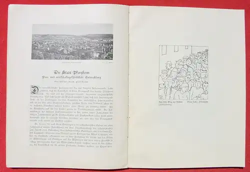 'Der Enz- und Pfinzgau'. 310 Seiten. Karlsruhe 1925 ()