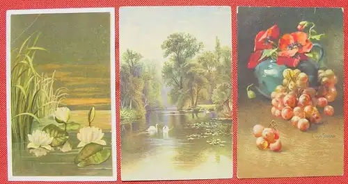 (1047717) Sechs alte Wenau-Kunstkarten, postal. gelaufen um 1918-1920, siehe bitte Bilder