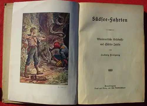 () Ludwig Freigang "Südseefahrten". Abenteuerliche Erlebnisse auf Südsee-Inseln. 128 Seiten. Halbleinen, ca. 16 x 21 cm. Farbige Bildtafeln. Verlag Bardtenschlager, Buch 586,  Reutlingen. Gebrauchsspuren. Versandkosten ab Euro 3,50