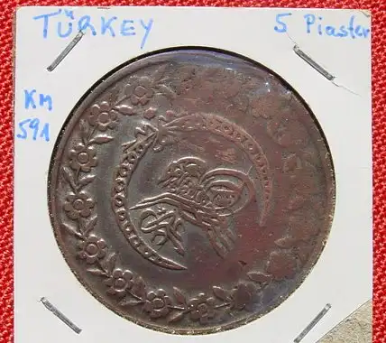 ! NEU + gültig : Versandkosten ab € 3,00 (intern ) Grosse Münze, Vermutlich Türkei, 5 Piaster ? 