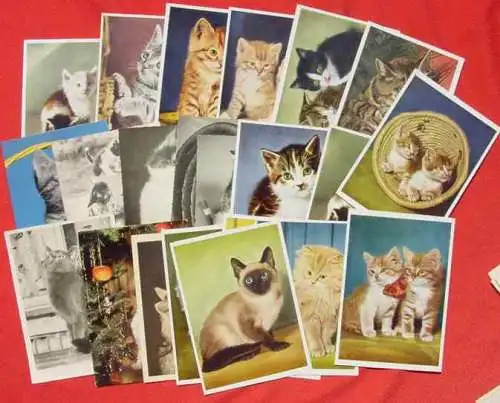 Derzeit gültige Versandkosten : ab Euro 3,00 (!) 125 x Postkarten / Ansichtskarten mit KATZEN-Motiven, queerbeet ()