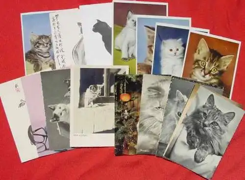 Derzeit gültige Versandkosten : ab Euro 3,00 (!) 125 x Postkarten / Ansichtskarten mit KATZEN-Motiven, queerbeet ()