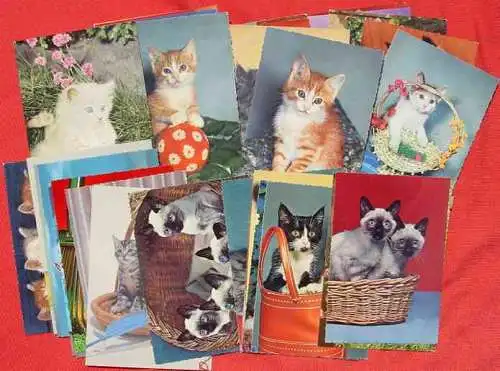 Derzeit gültige Versandkosten : ab Euro 3,00 (!) 125 x Postkarten / Ansichtskarten mit KATZEN-Motiven, queerbeet ()