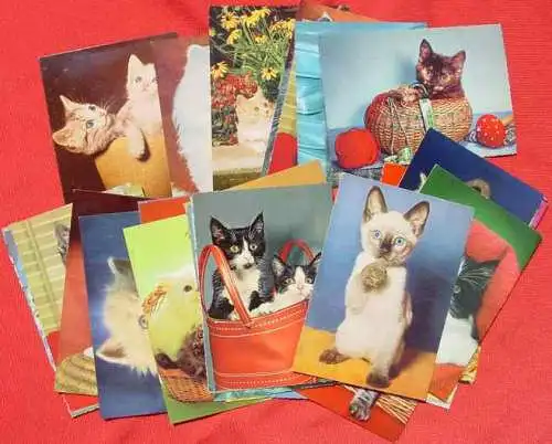 Derzeit gültige Versandkosten : ab Euro 3,00 (!) 125 x Postkarten / Ansichtskarten mit KATZEN-Motiven, queerbeet ()