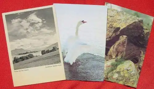 ! Neu : Versandkosten ab Euro 2,20 () 15 x alte Ansichtskarten DJH-AK / Jugendherberge, postalisch nicht gelaufen. JH-Verlag, Detmold.