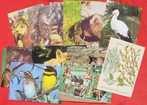 ! Neu : Versandkosten ab Euro 2,20 () 34 xalte Ansichtskarten / Postkarten. DJH-AK / Jugendherberge. Spendenkarten Deutsche Jugendherberge. Postalisch nicht gelaufen.