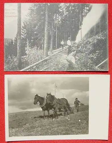 AK Waldarbeiter / Holz, 1908 (1032688)