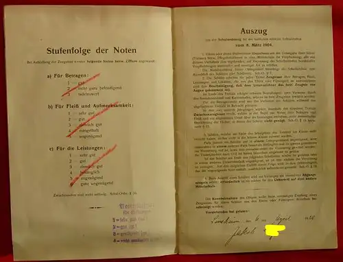 "Der Amtsbezirk Sinsheim" 20 S., 1924 (1011704)