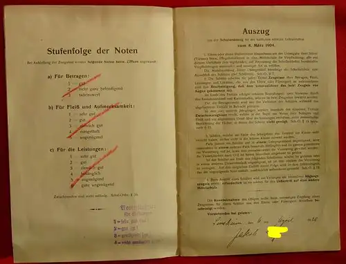 "Der Amtsbezirk Sinsheim" 20 S., 1924 ()